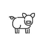 Sustainable Farm Agriculture Icon
